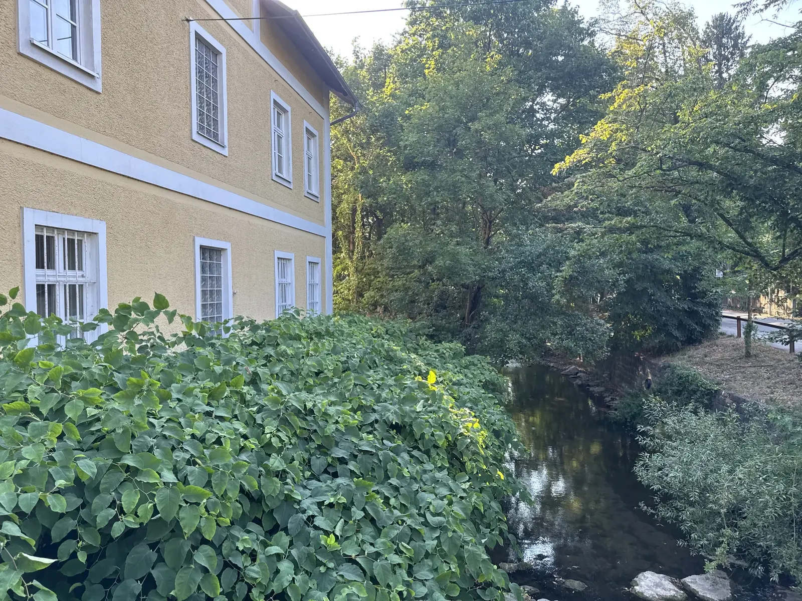 Grünraum und Weg entlang des Liesingbachs