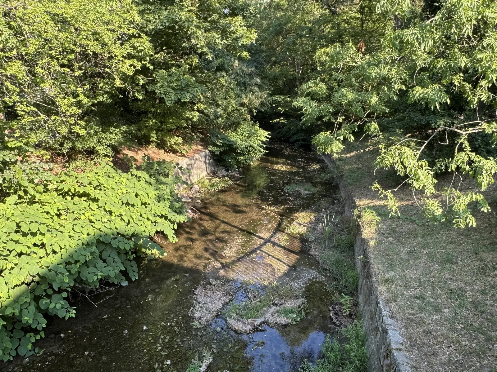 Liesingbach mit grüner Uferlandschaft