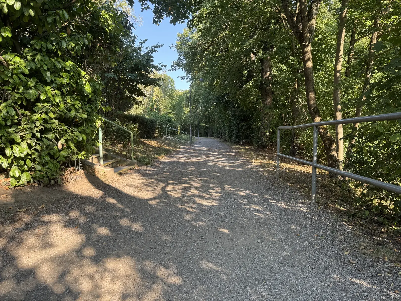 Schattiger Waldweg im grünen Süden Wiens